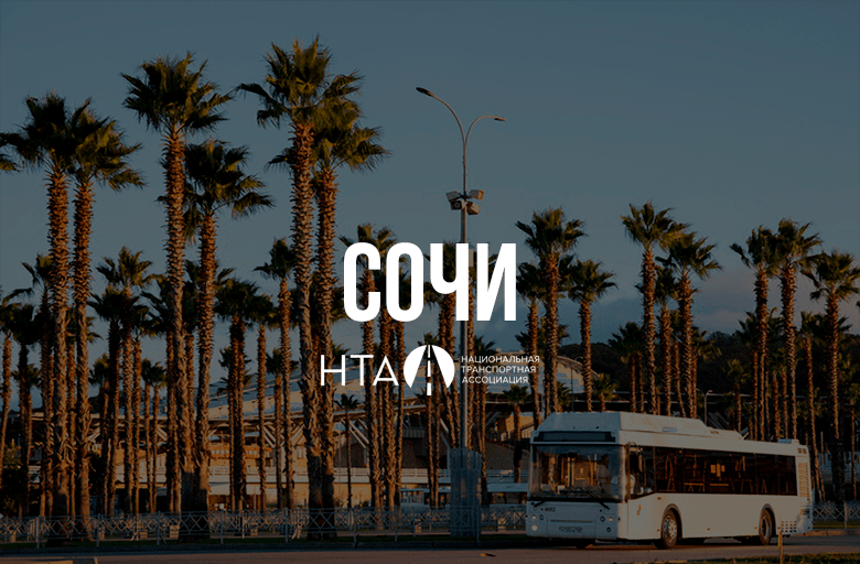 Автобус в Сочи на фоне пальм